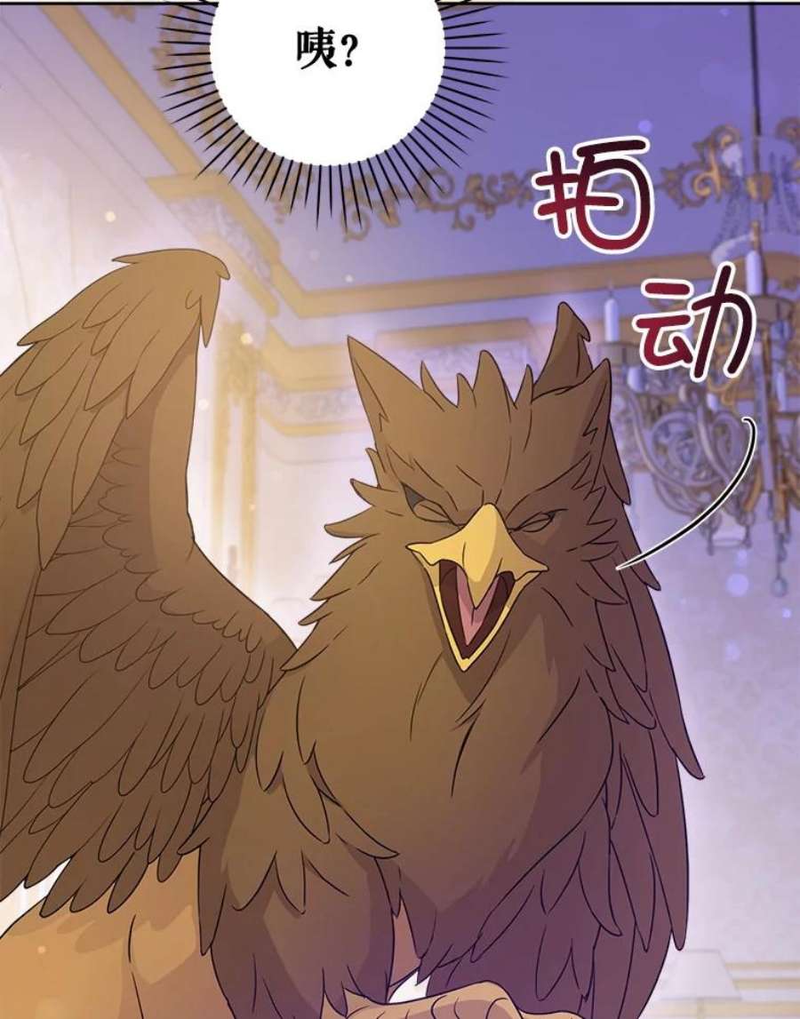 请给我奶嘴10.蟑螂