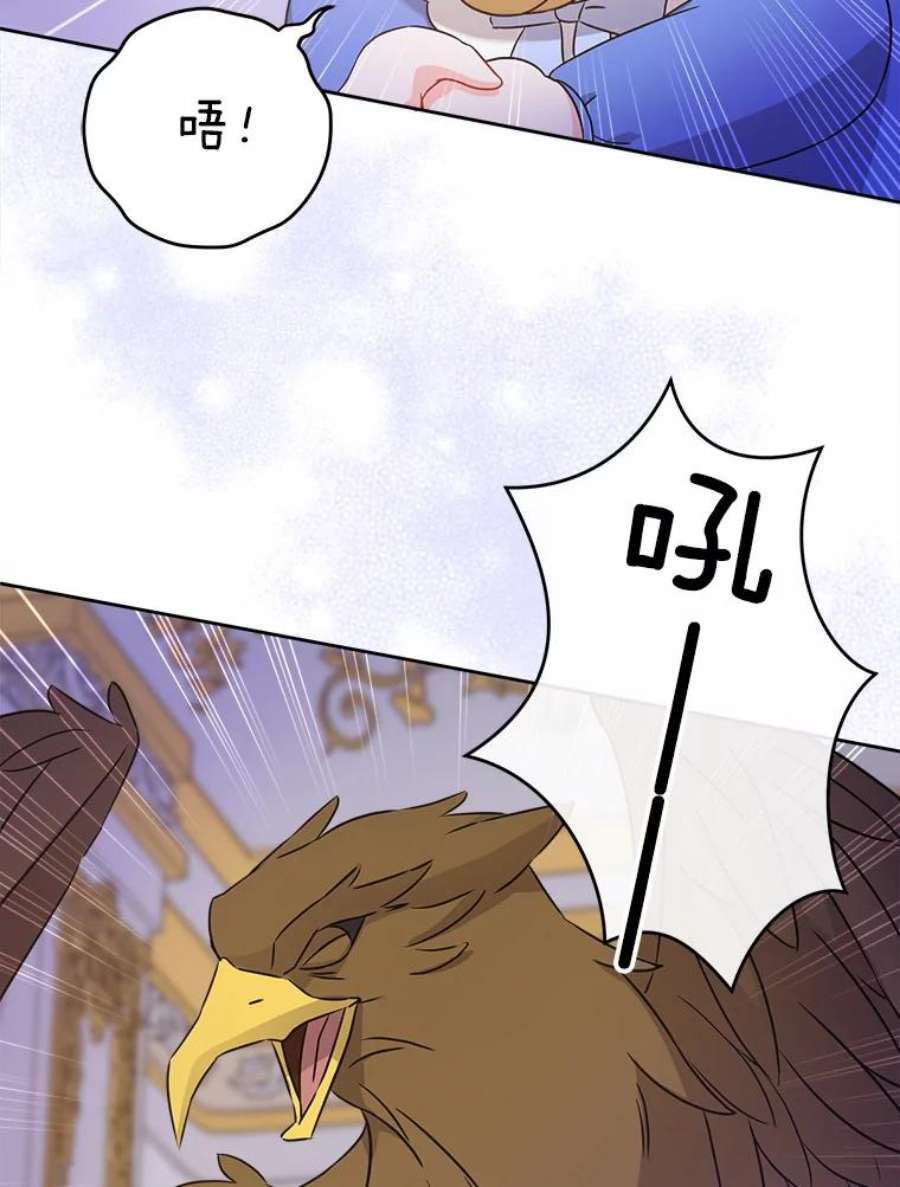 请给我奶嘴10.蟑螂