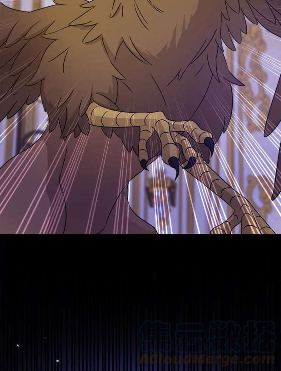 请给我奶嘴10.蟑螂