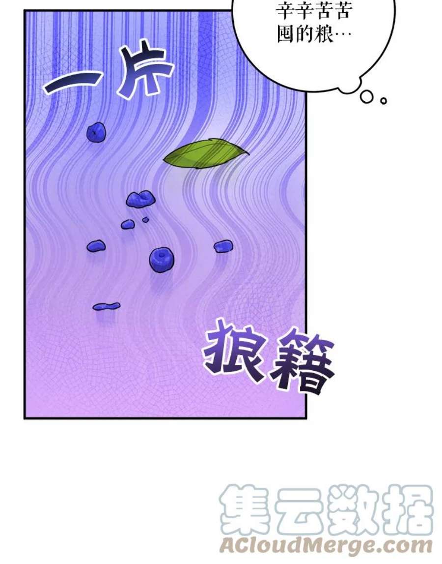 请给我奶嘴10.蟑螂