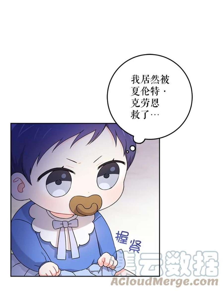 请给我奶嘴10.蟑螂