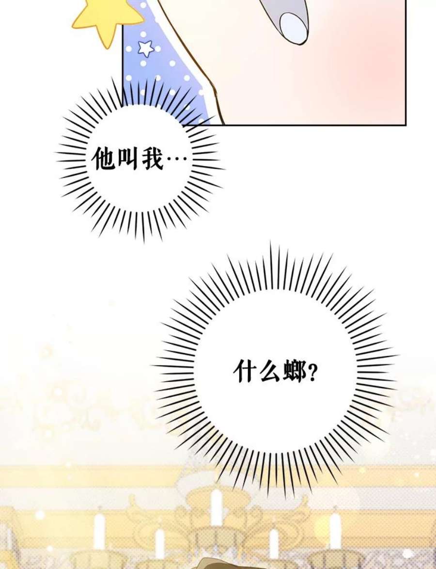 请给我奶嘴10.蟑螂