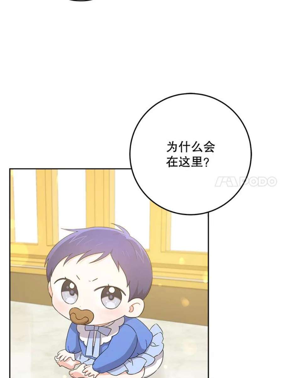 请给我奶嘴10.蟑螂