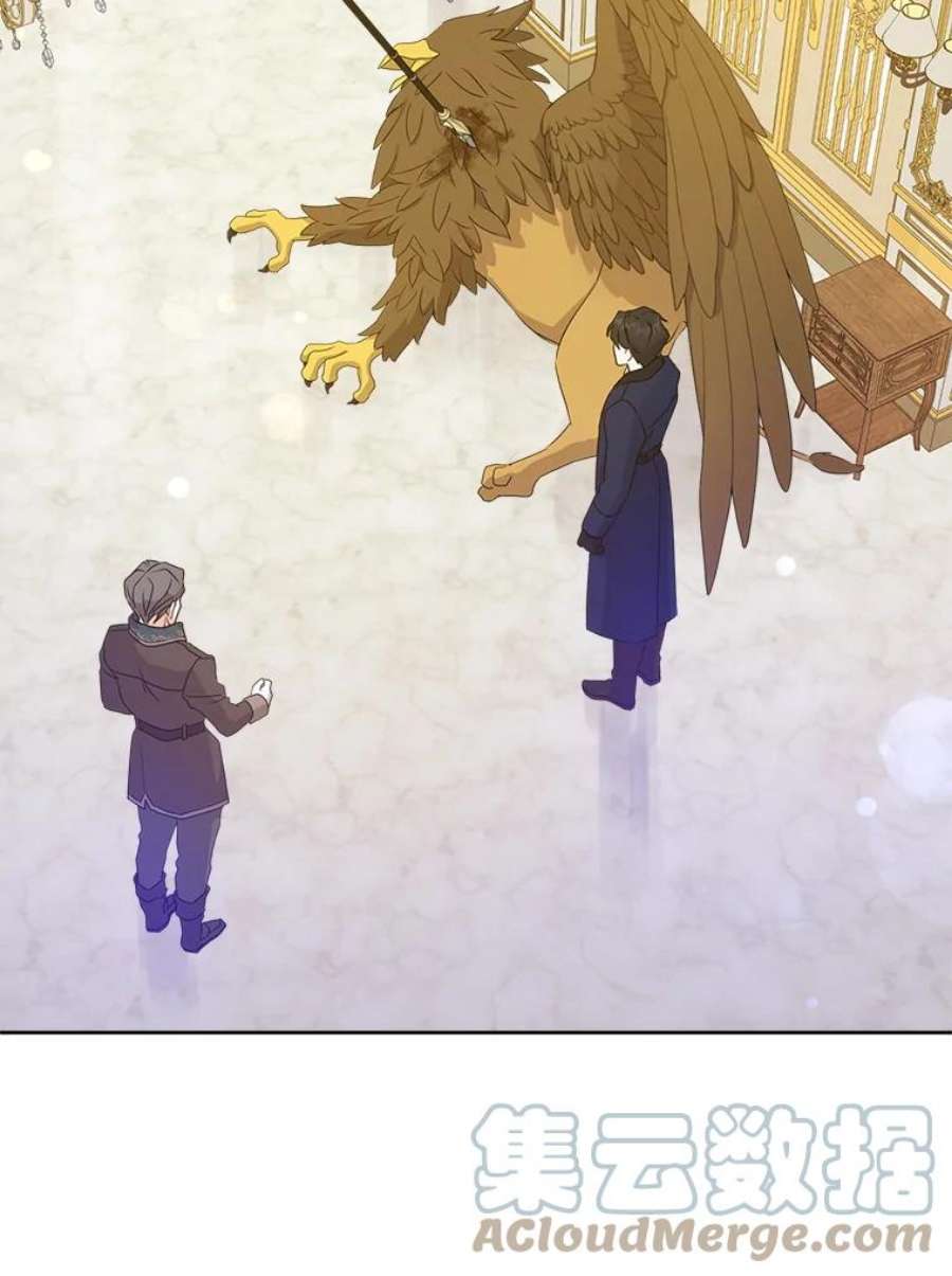 请给我奶嘴10.蟑螂