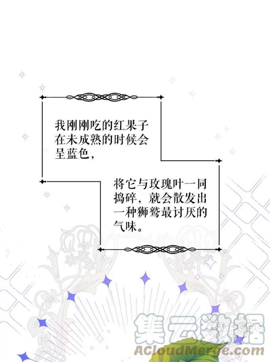 请给我奶嘴10.蟑螂