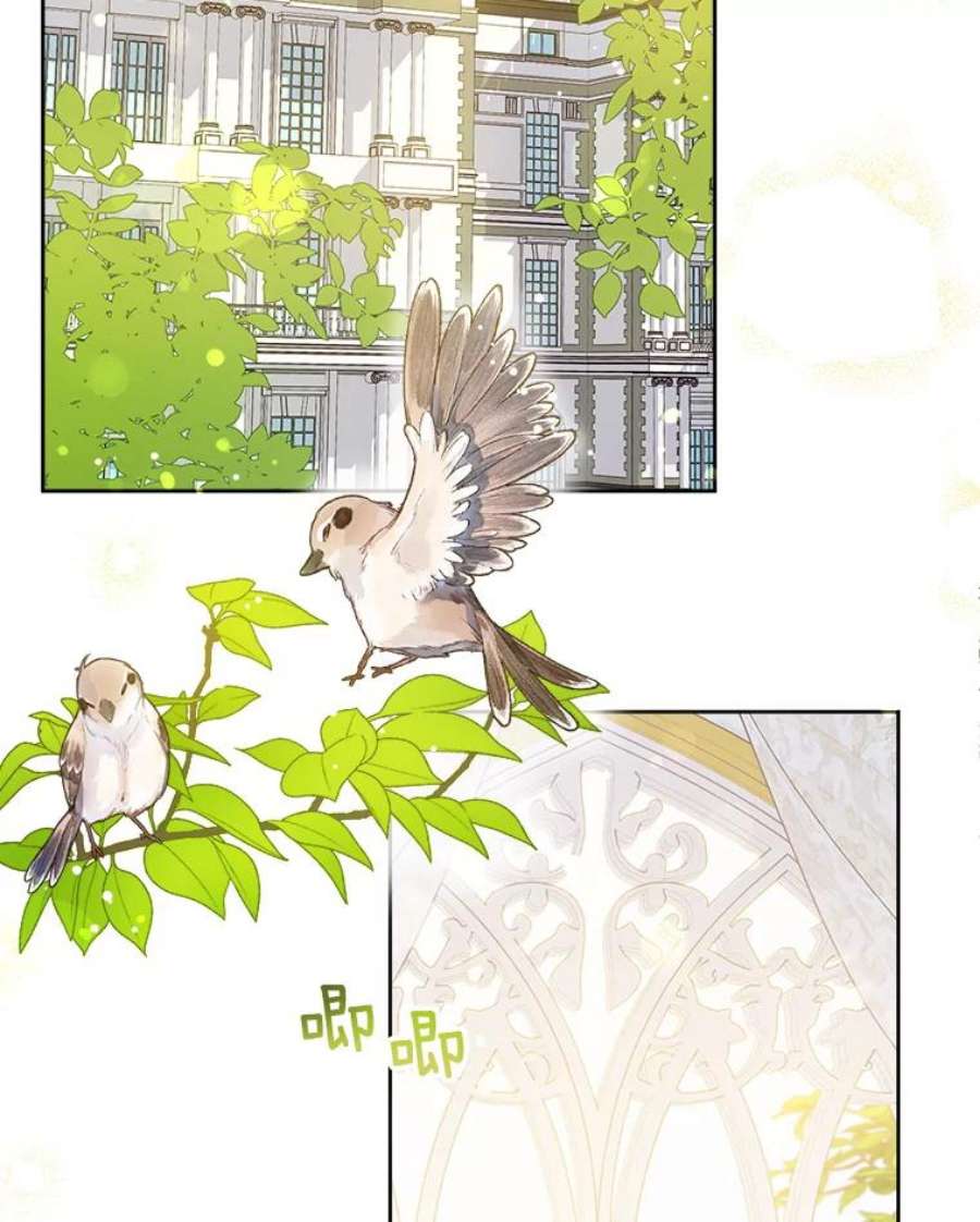 请给我奶嘴14.狗狗训练