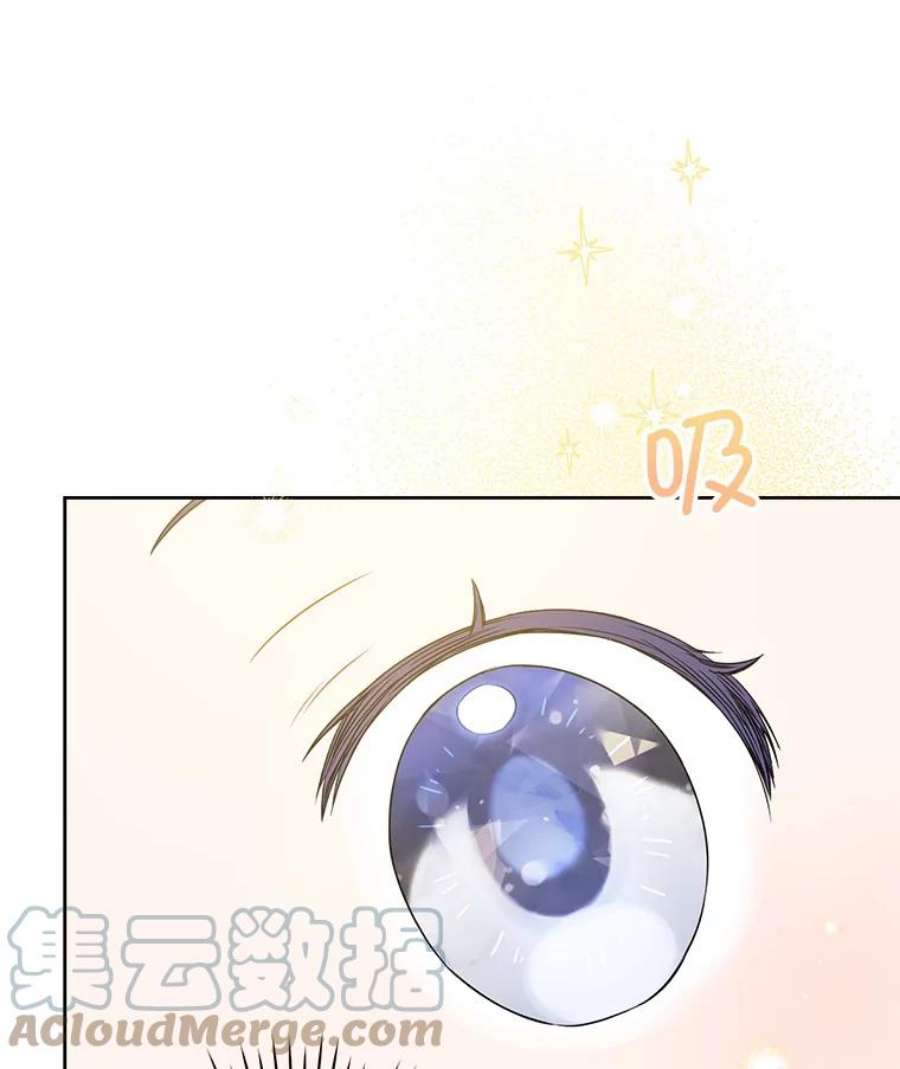 请给我奶嘴14.狗狗训练