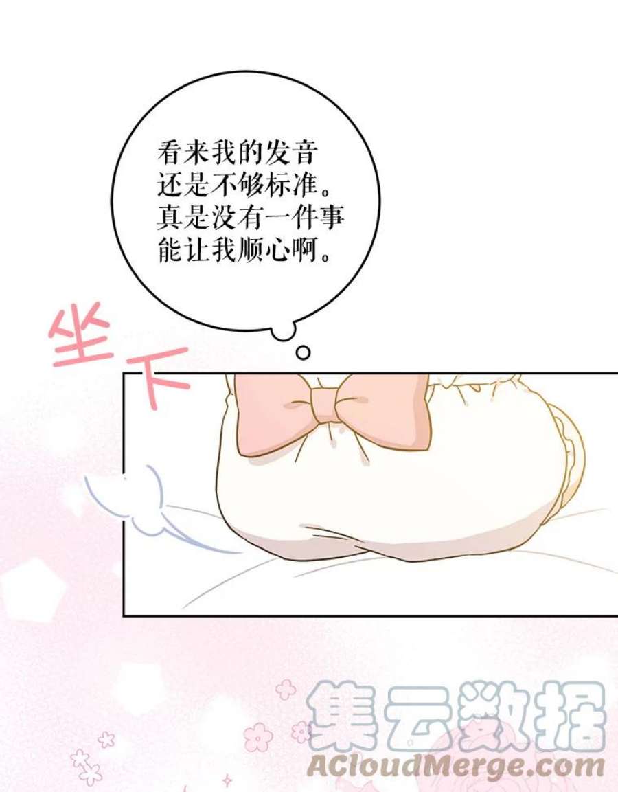 请给我奶嘴14.狗狗训练