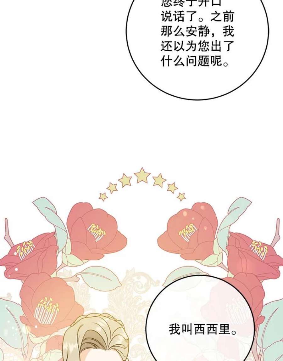 请给我奶嘴14.狗狗训练