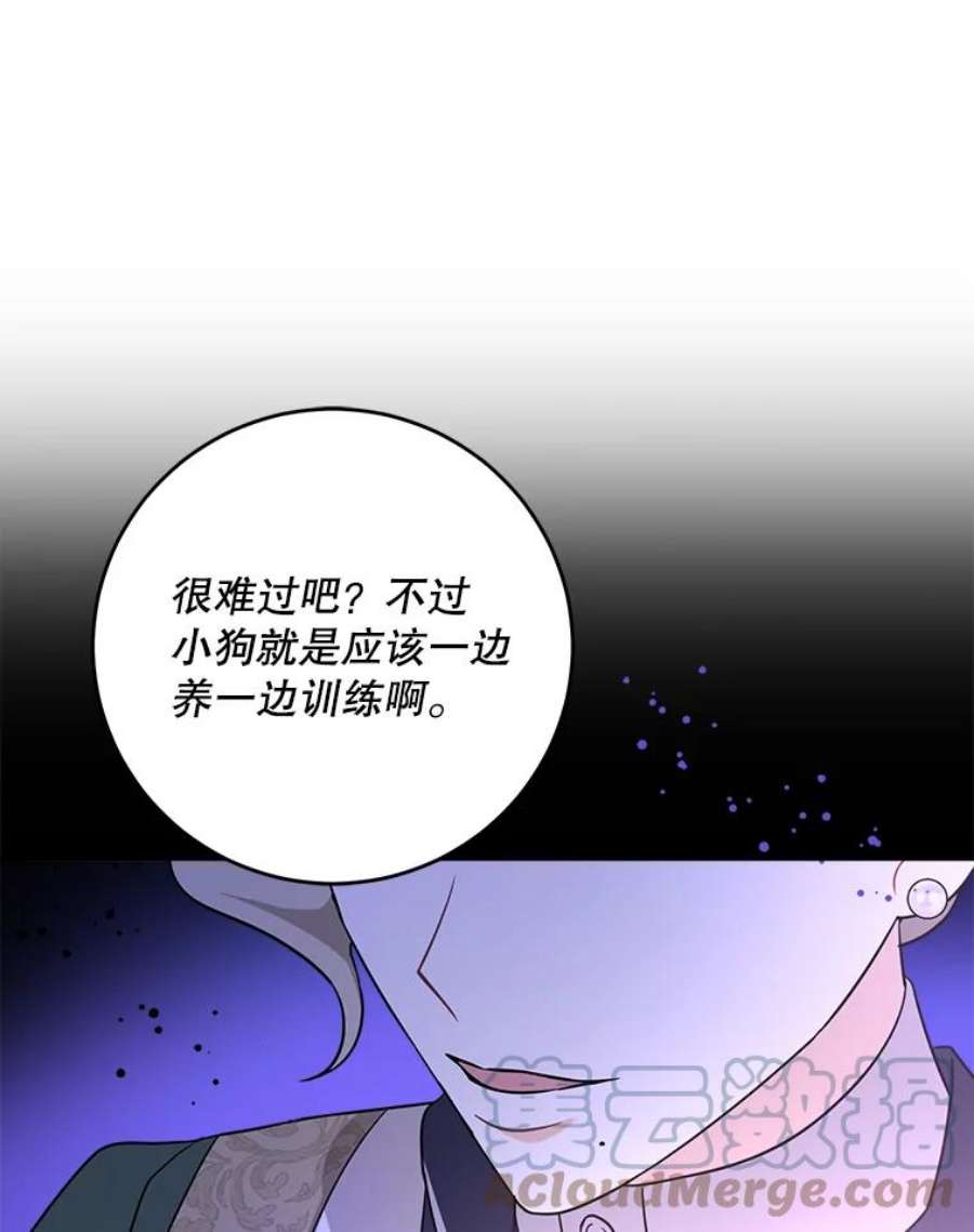 请给我奶嘴14.狗狗训练