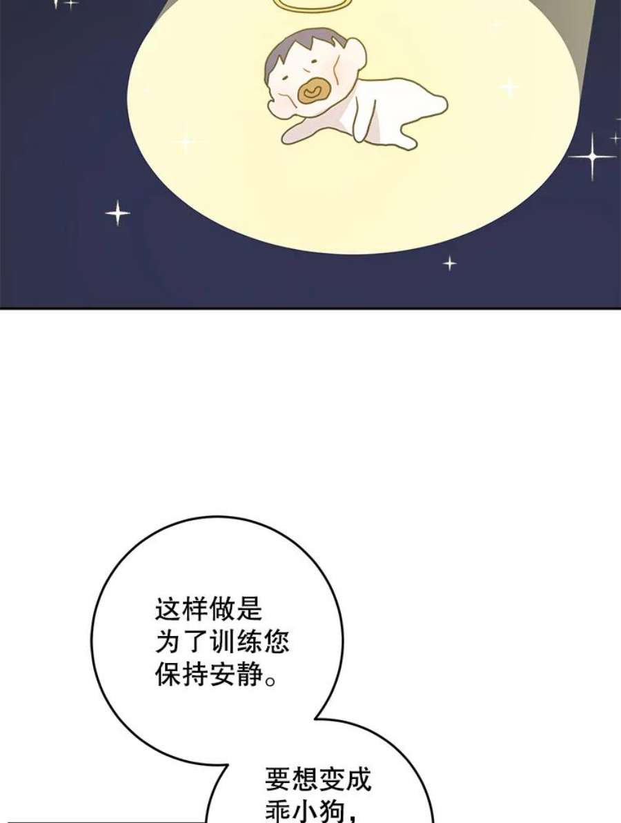请给我奶嘴14.狗狗训练