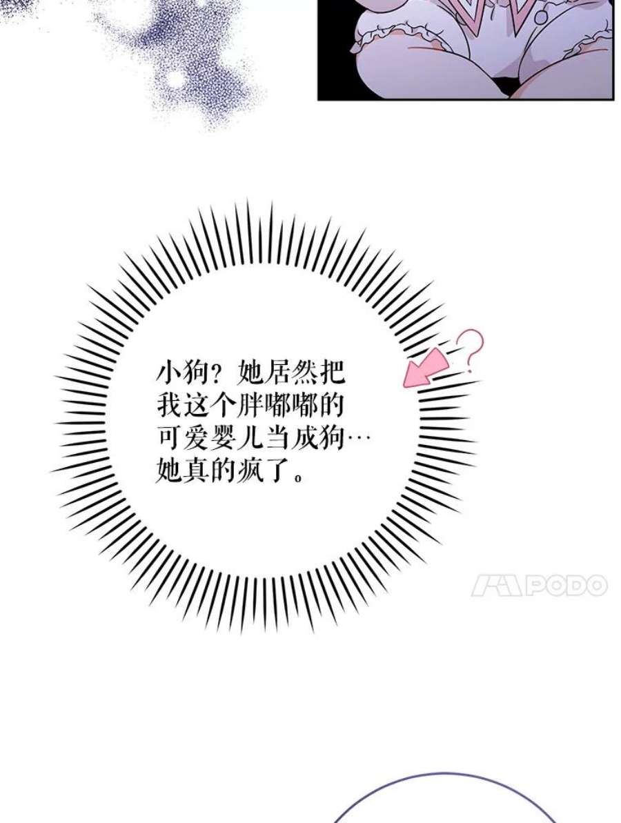 请给我奶嘴14.狗狗训练