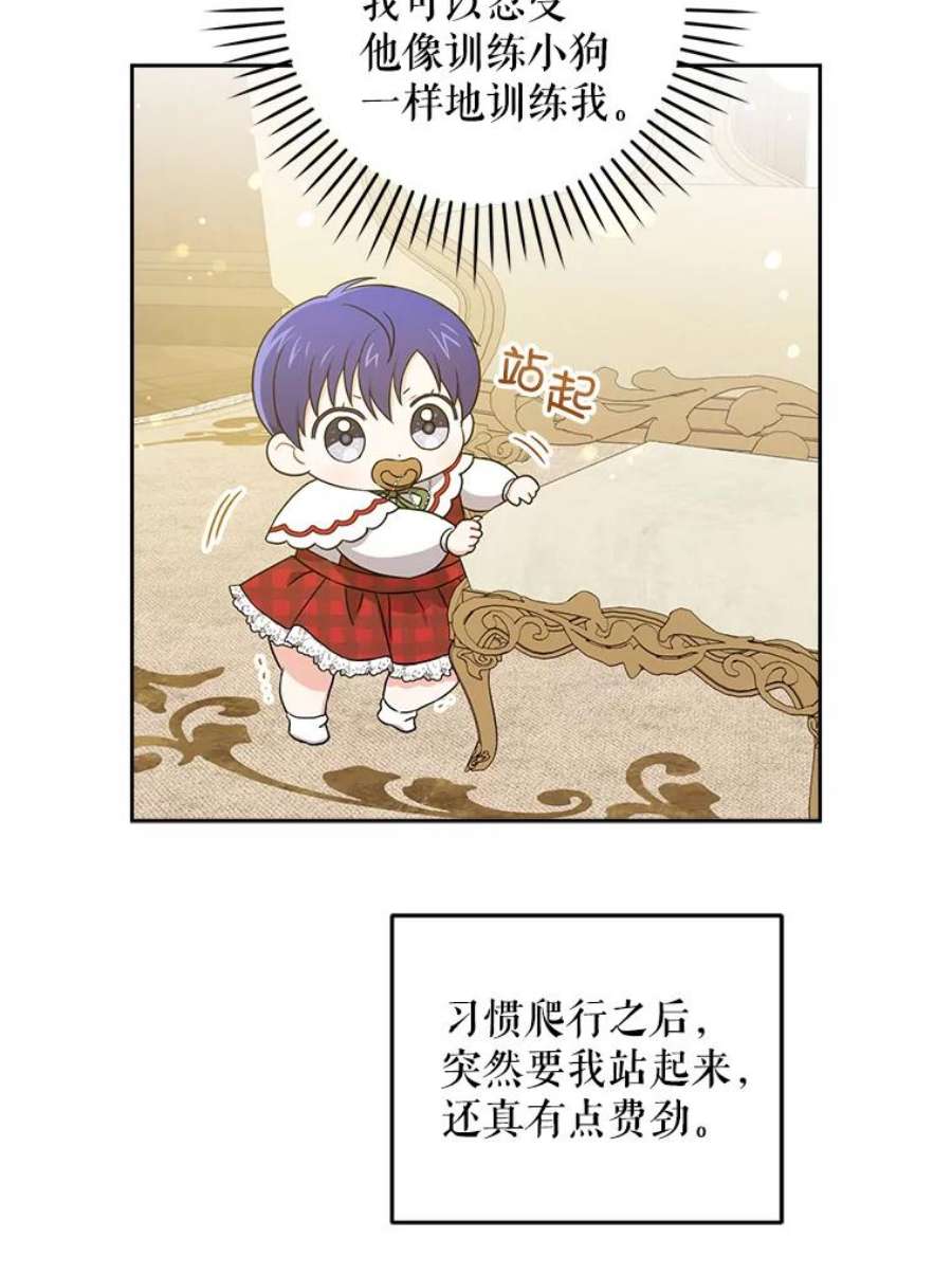 请给我奶嘴26.魔晶石