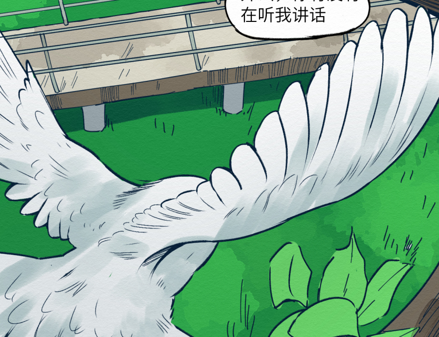 这个岛有点妖第一话 不明生物