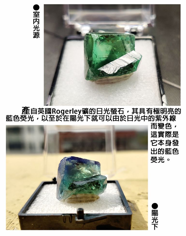 瑠璃的宝石第06话