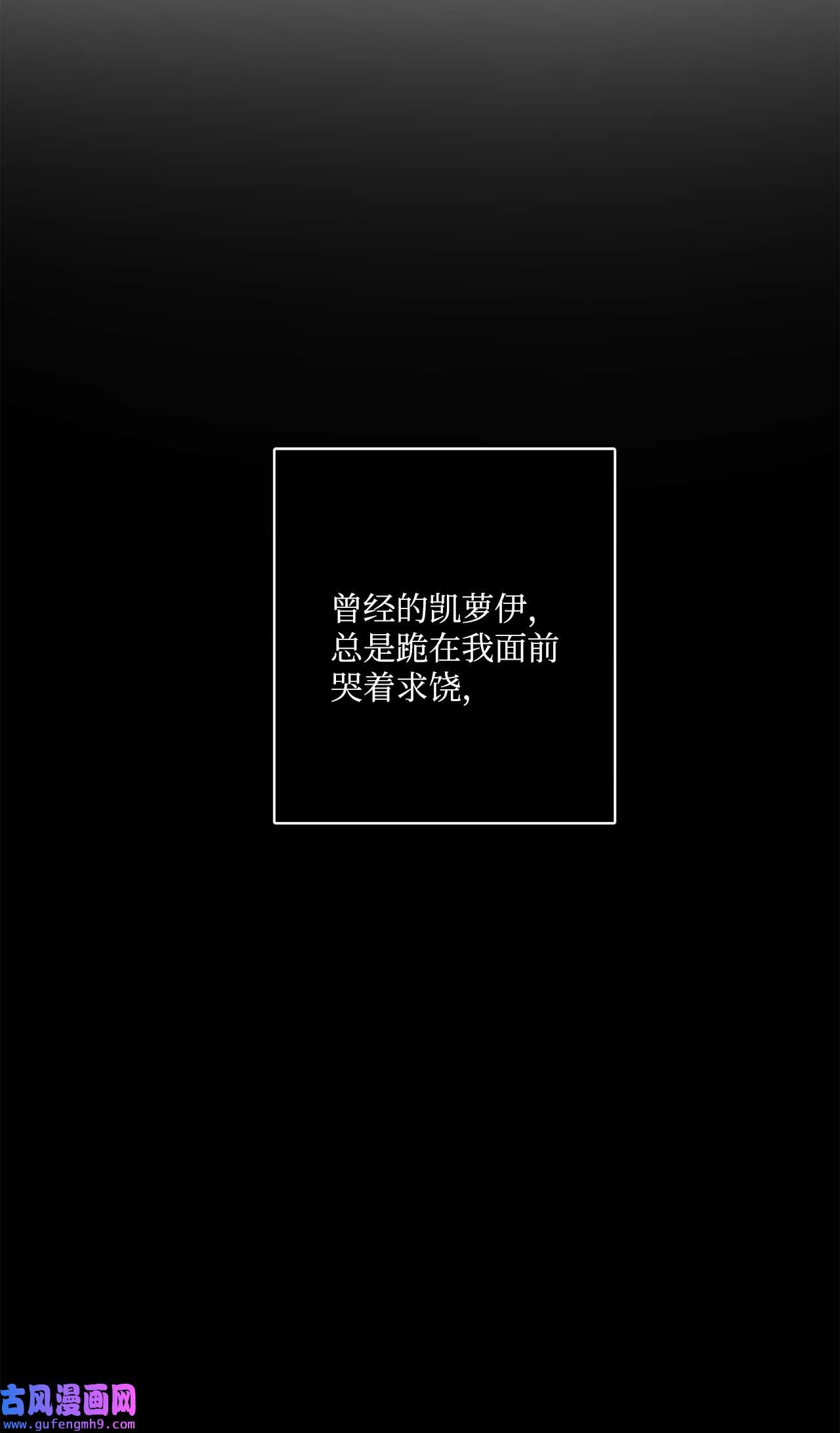 被抛弃的女主迎来了幸福14 贵族圈的传闻