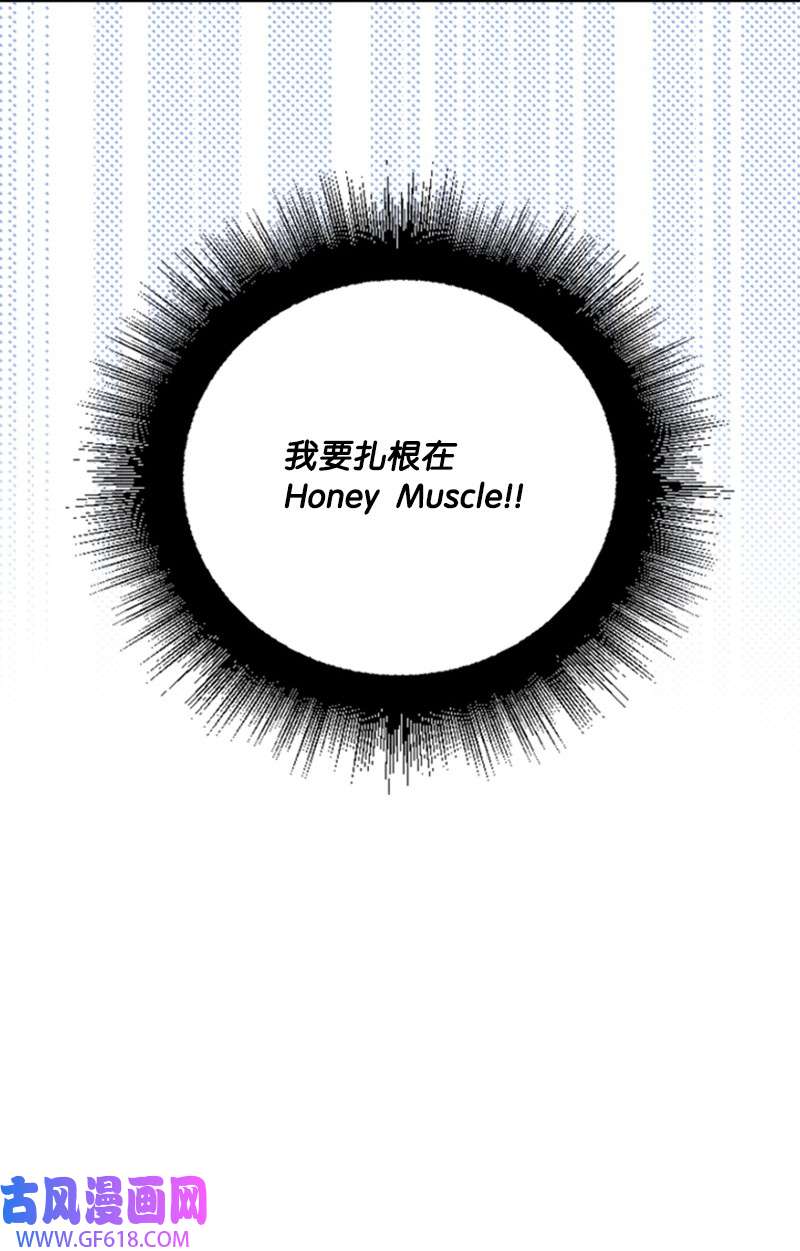 肌肉甜心10 Honey Bee4号上线