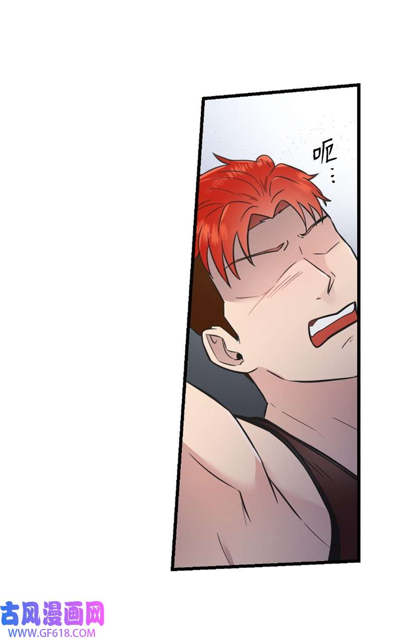 肌肉甜心14 抓捕洪夏天