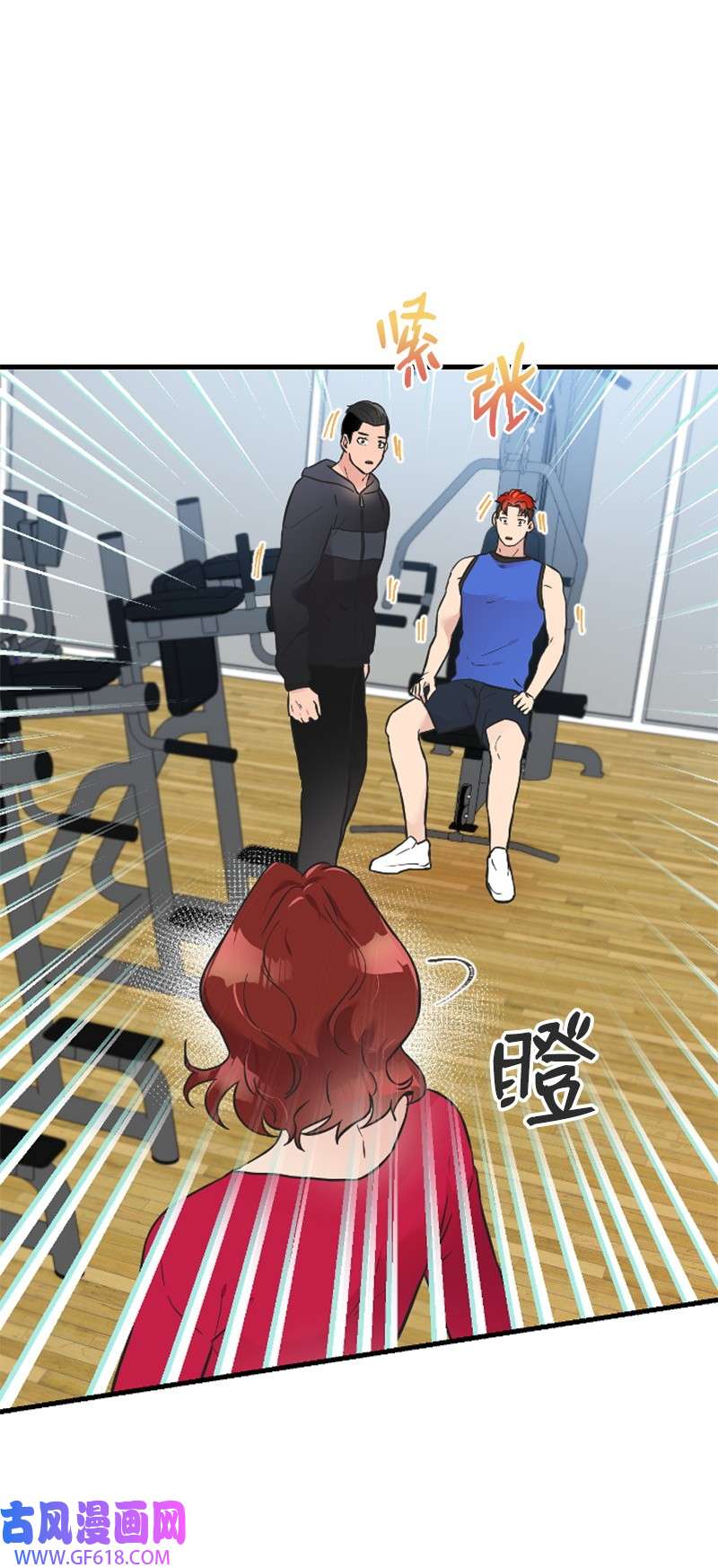 肌肉甜心16 赵清争夺战