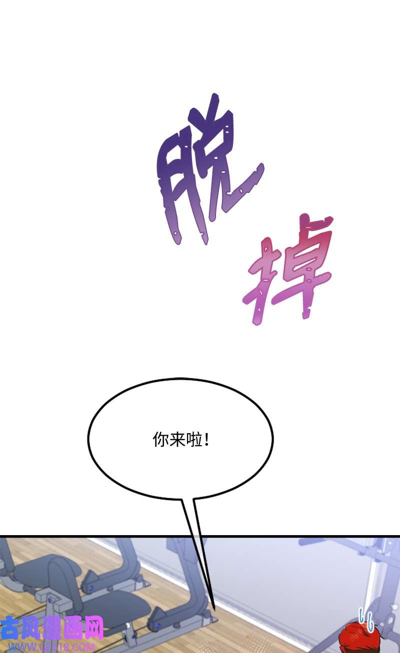 肌肉甜心16 赵清争夺战