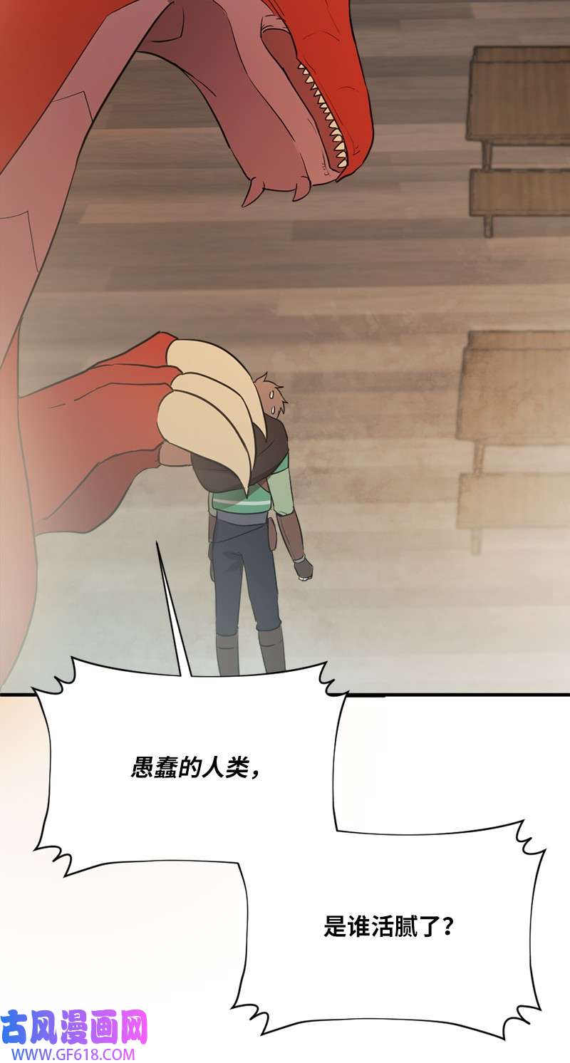 龙的冒险之旅2 神龙探险者