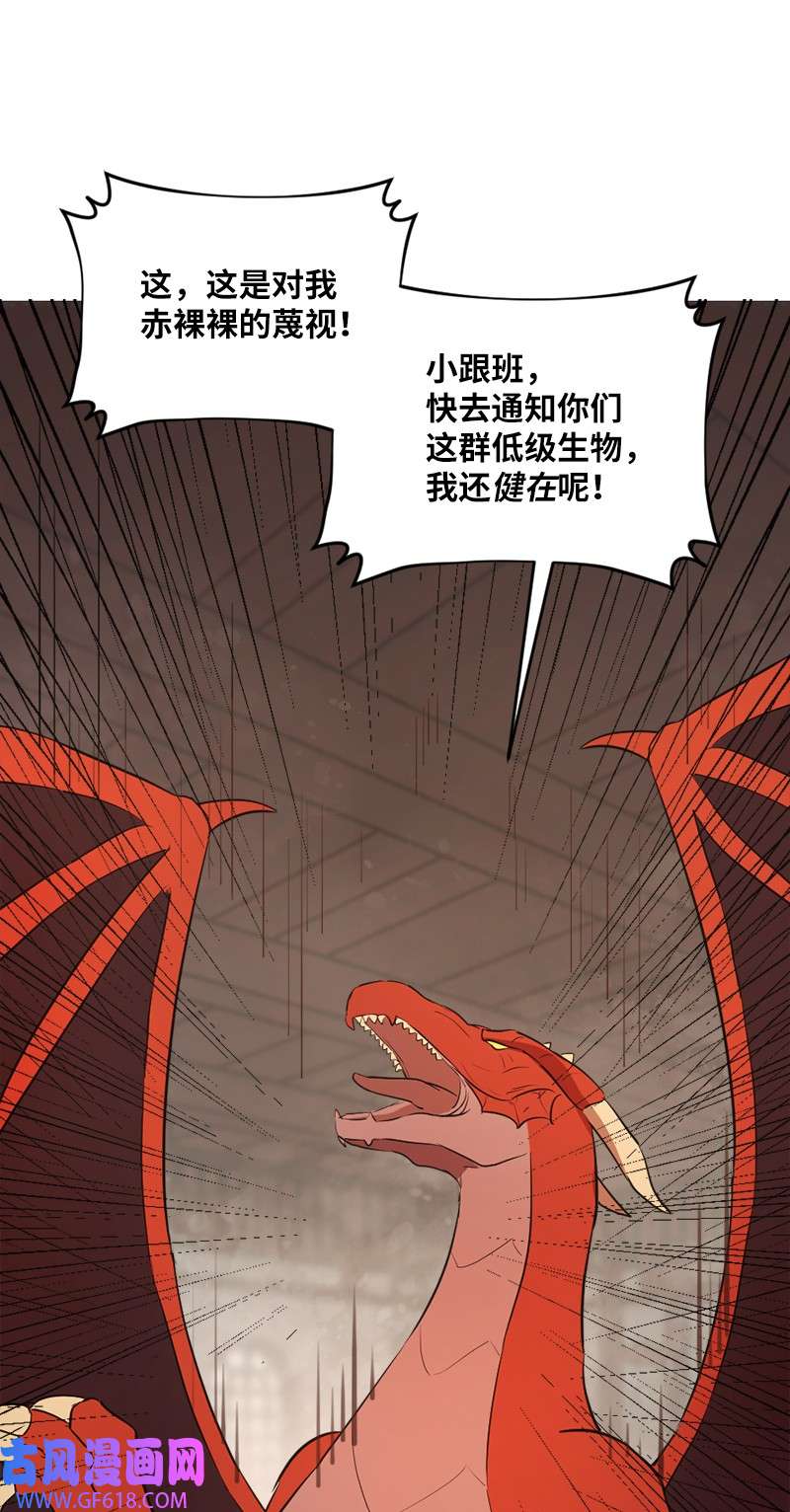 龙的冒险之旅2 神龙探险者