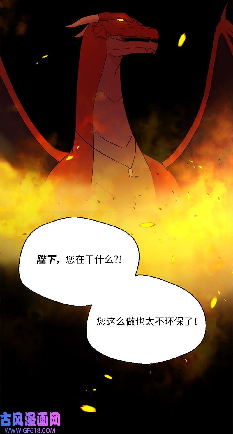 龙的冒险之旅3 初出茅庐之战