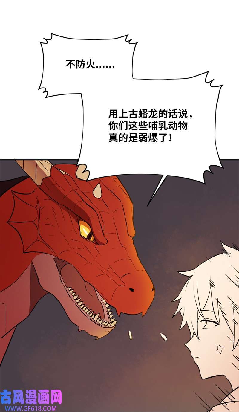 龙的冒险之旅3 初出茅庐之战