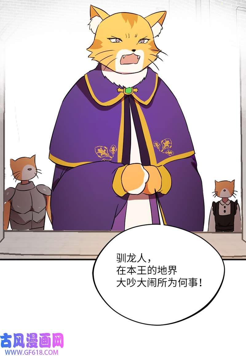 龙的冒险之旅3 初出茅庐之战