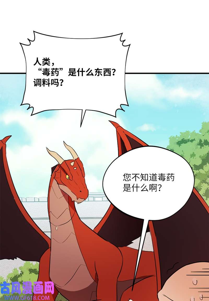 龙的冒险之旅3 初出茅庐之战