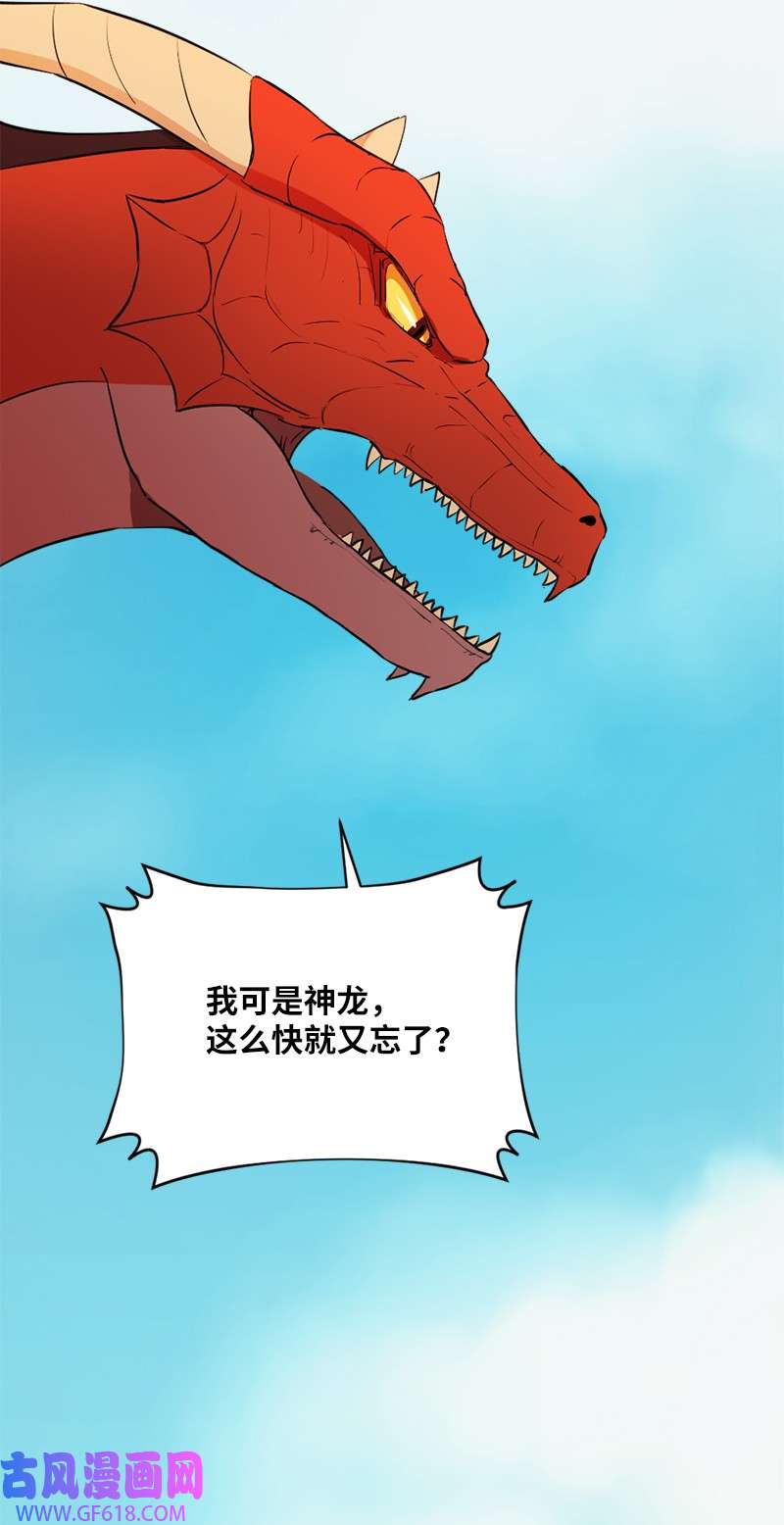 龙的冒险之旅3 初出茅庐之战