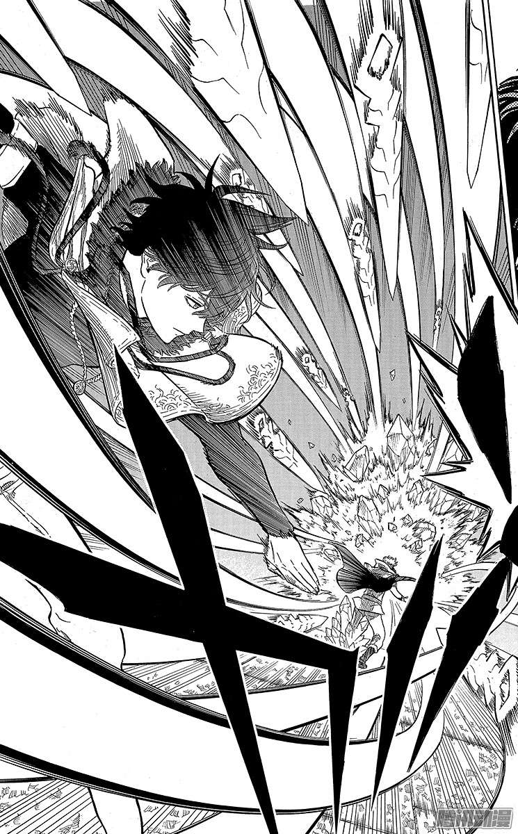 黑色四叶草第14页 同伴