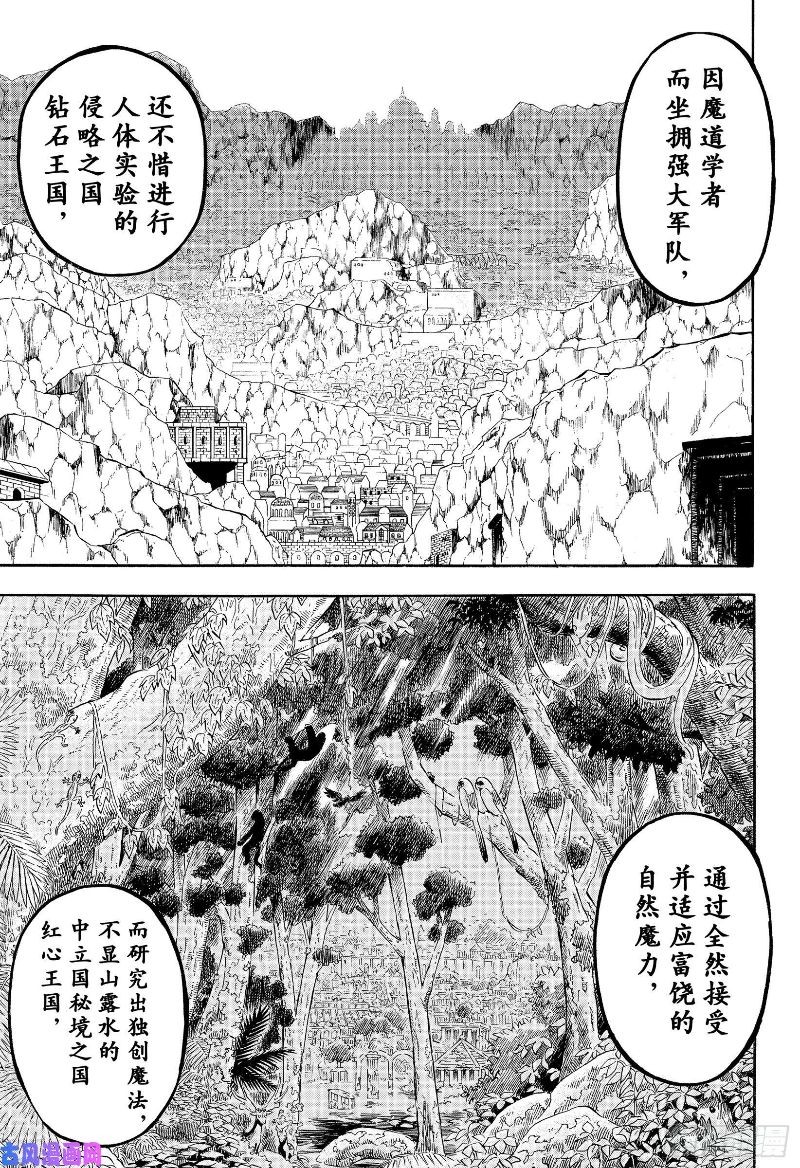 黑色四叶草第216话 力量平衡