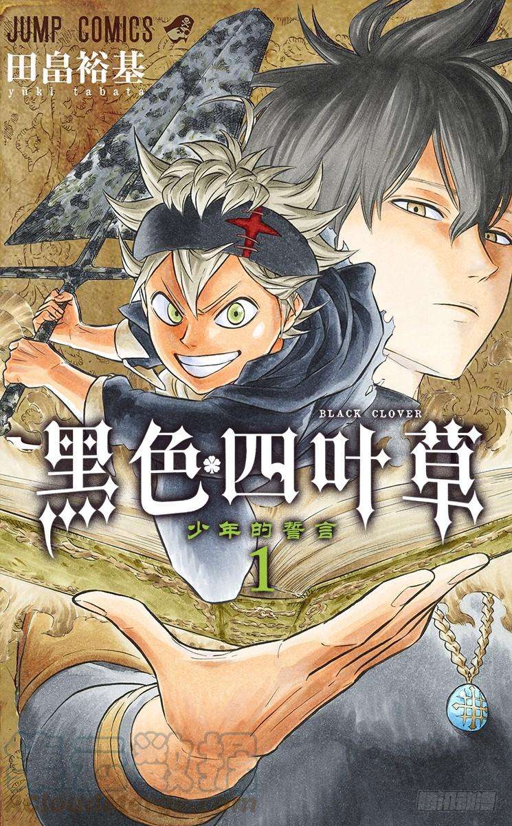 黑色四叶草1页 少年的誓言