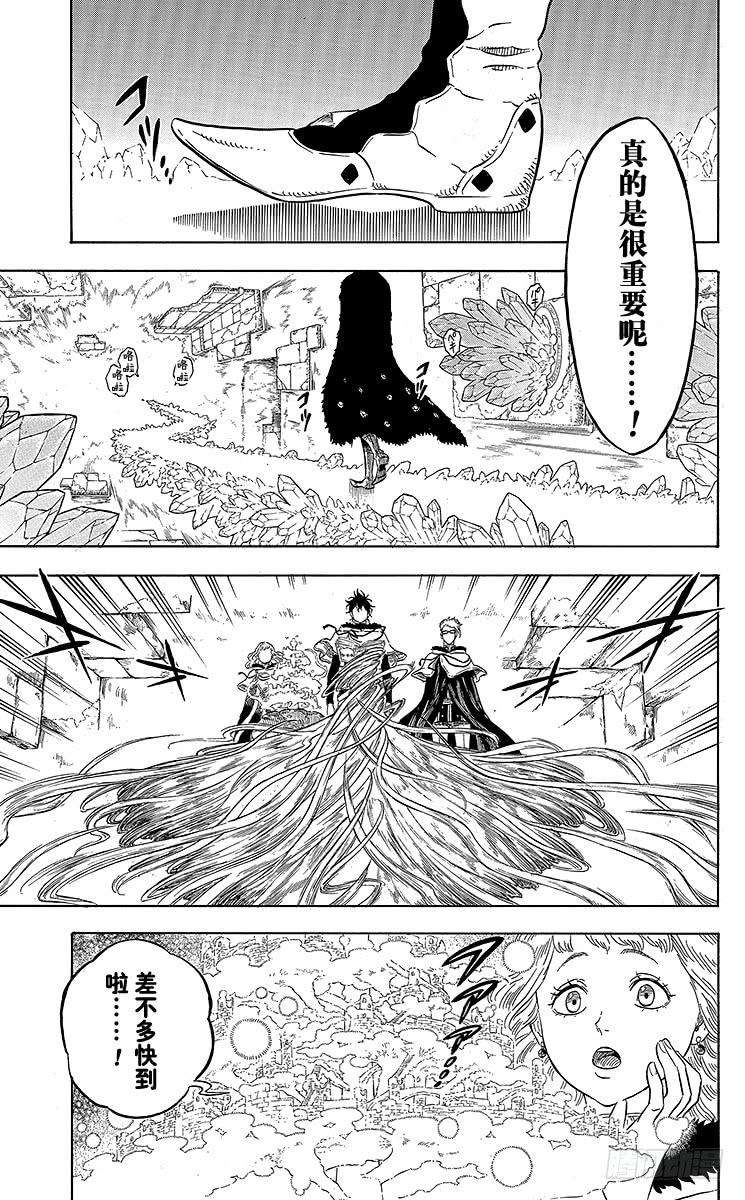 黑色四叶草13页 钻石的魔导士