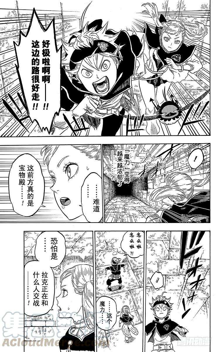 黑色四叶草14页 同伴