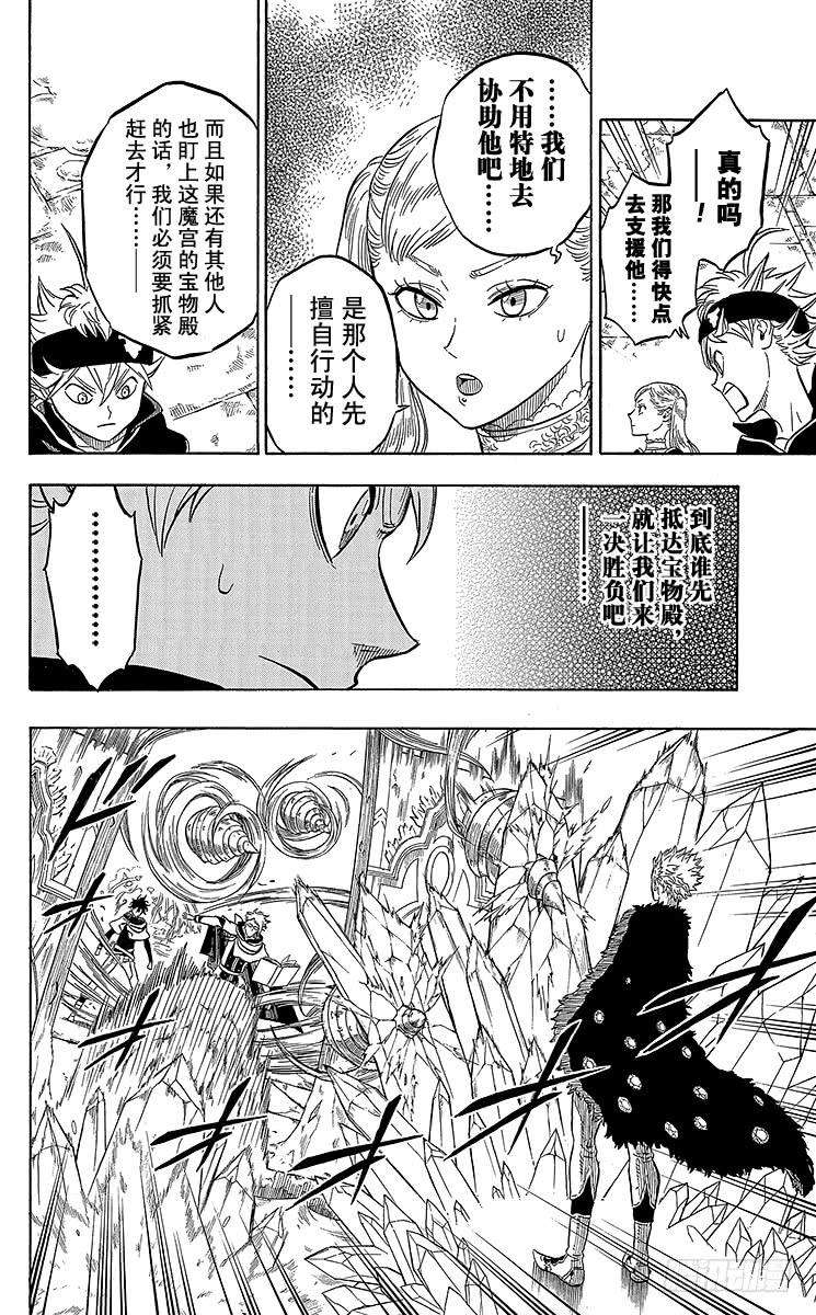 黑色四叶草14页 同伴