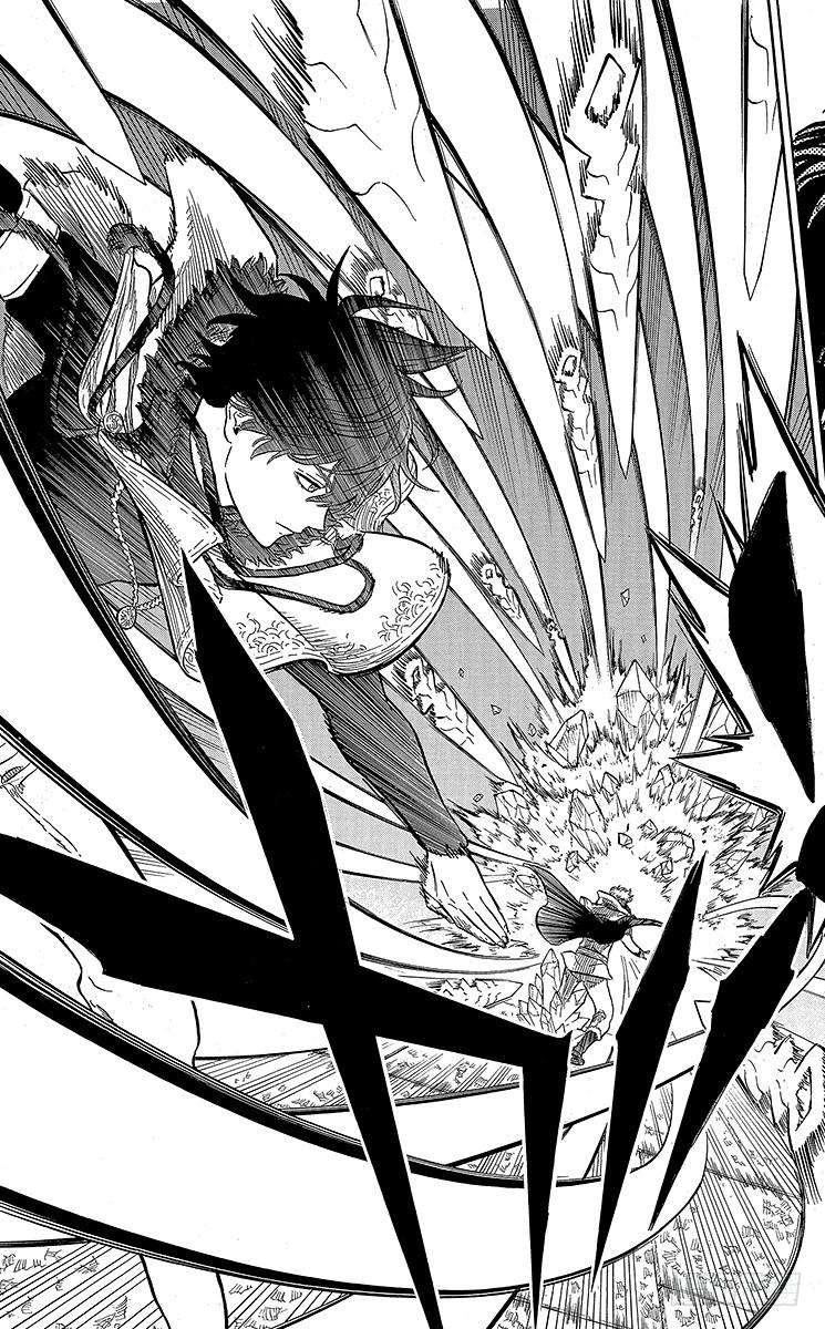 黑色四叶草14页 同伴