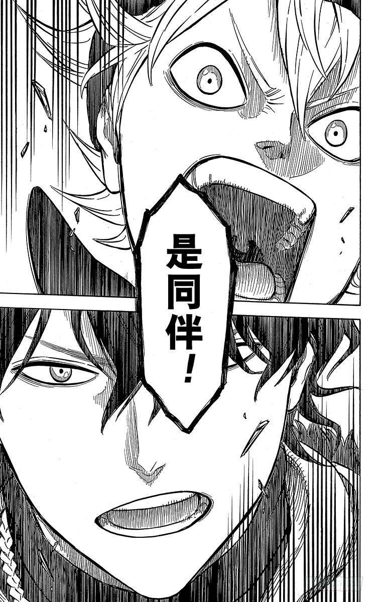 黑色四叶草14页 同伴