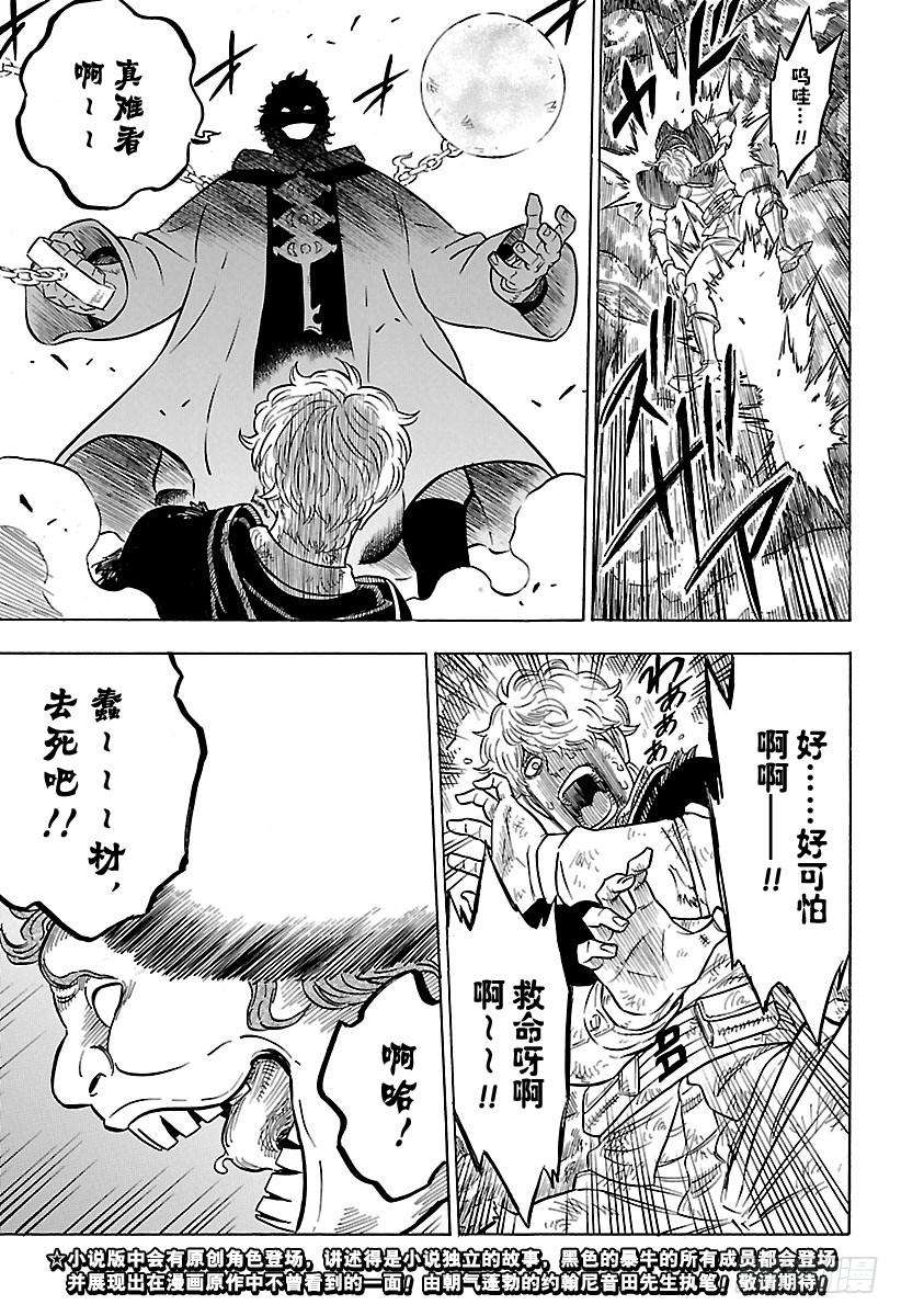 黑色四叶草66页 真实之姿