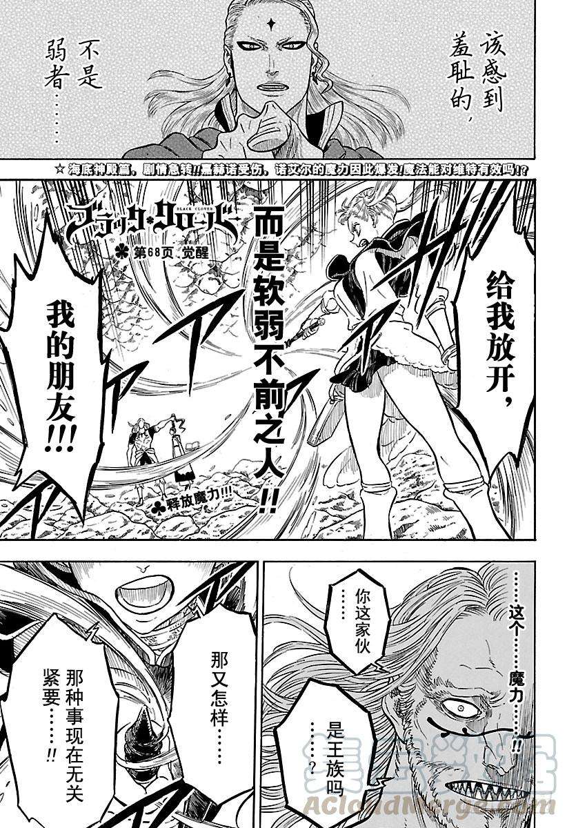 黑色四叶草68页 觉醒