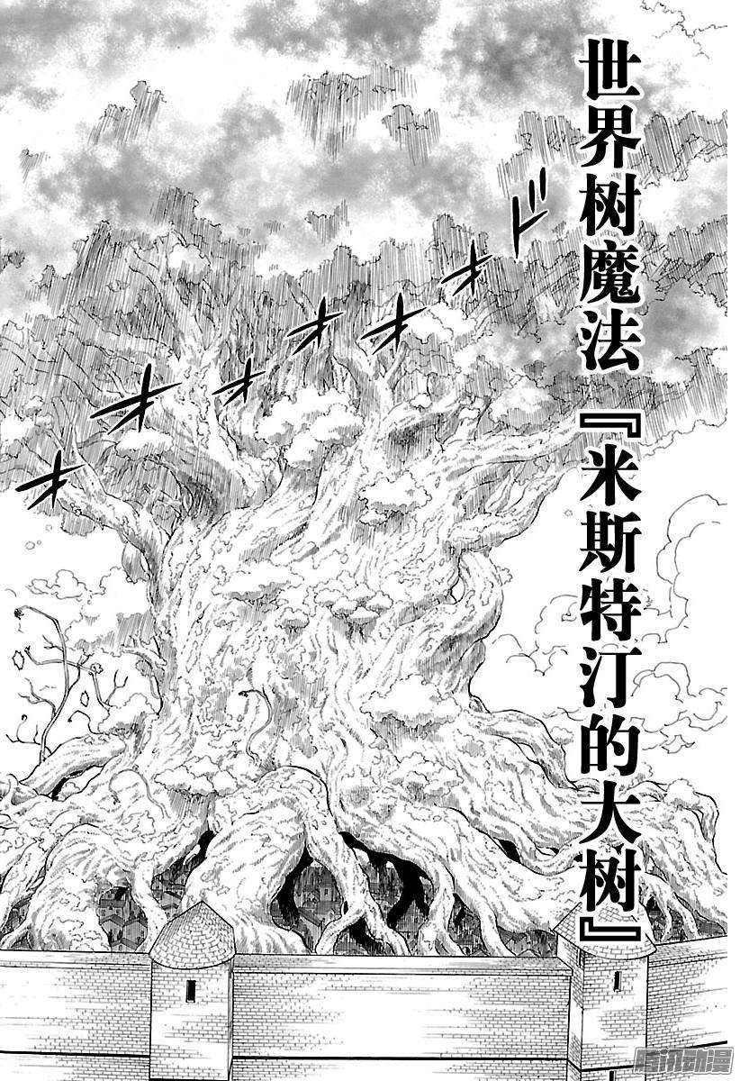 黑色四叶草76话 最强之团