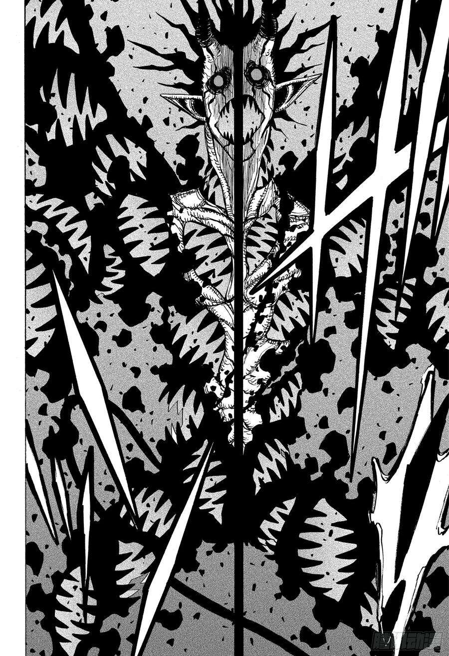 黑色四叶草211话 终结的一击