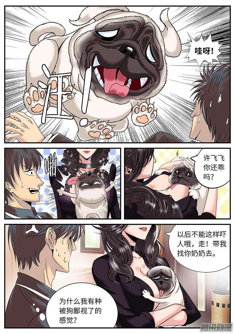 超级兵王在都市一家之主