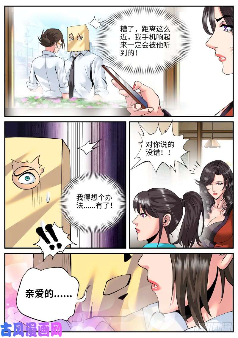 超级兵王在都市金鹰之风