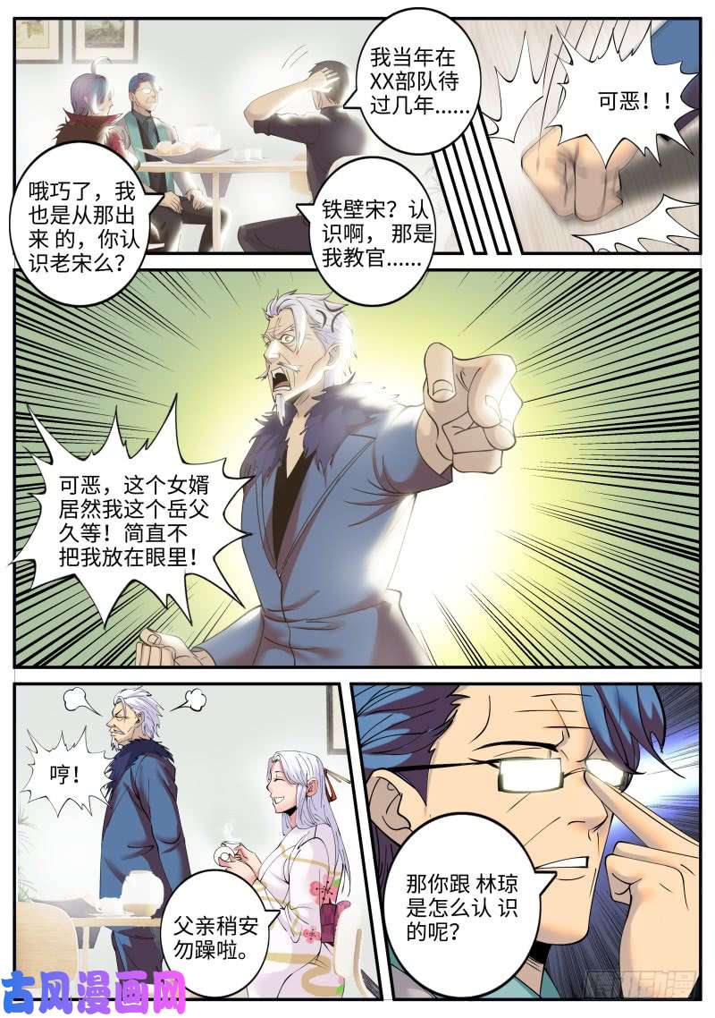 超级兵王在都市岳父