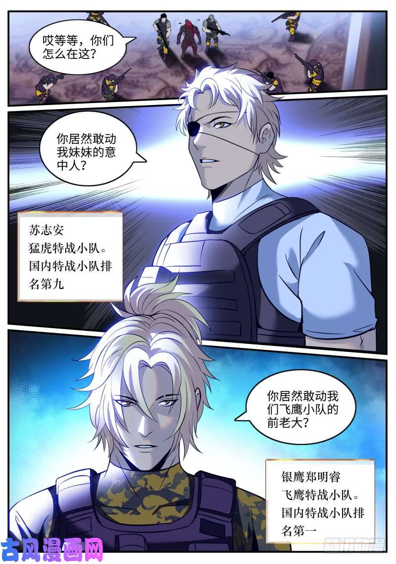超级兵王在都市苏老爷子