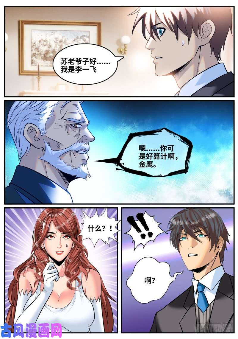 超级兵王在都市苏老爷子