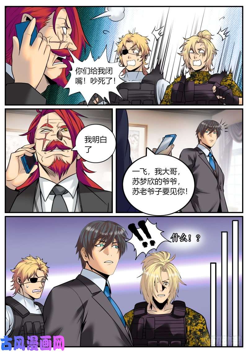 超级兵王在都市苏老爷子