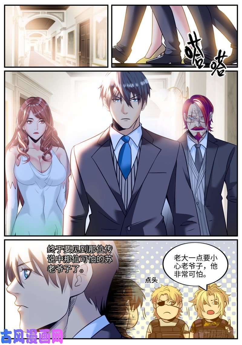 超级兵王在都市苏老爷子